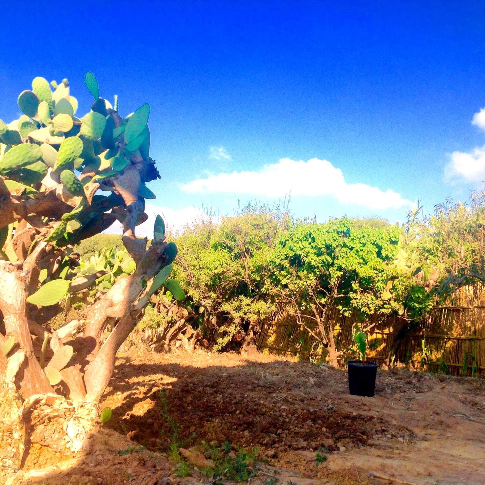 Villa Rafraf Plage Le Pardis Bagian luar foto